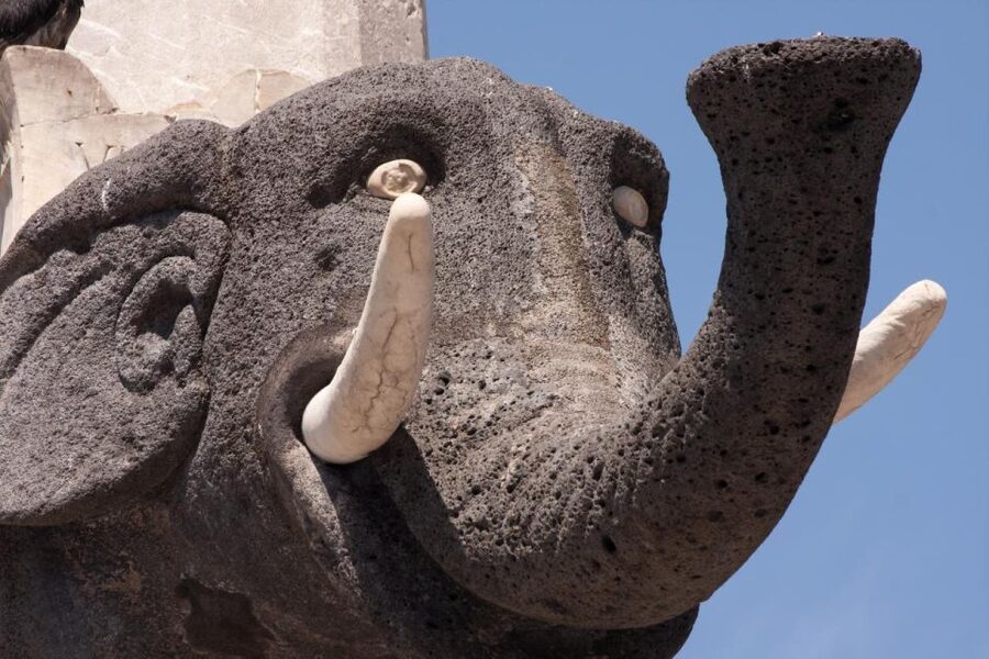 Catania: City Highlights Walking Tour - Duomo Square: Where the Walk Gets Its Main Compass