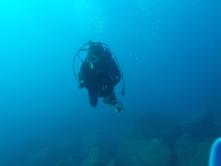 Catania : Diving for patented divers - Guides, equipment, and the safety factor that makes it worth it