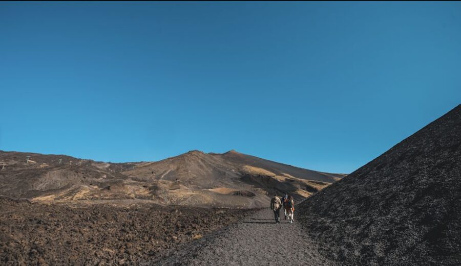 Catania: Etna Morning Excursion with Tasting and Pickup - Key things to know before you go