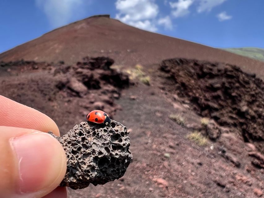 Catania: Etna Morning Excursion with Tasting and Pickup - Is it worth the money compared with doing Etna on your own?