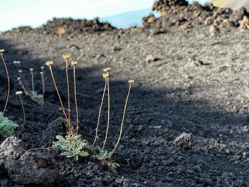 Catania: Etna Morning or Sunset Trek with Lava Tunnel & Gear - The feel of Etna: walking on volcanic time