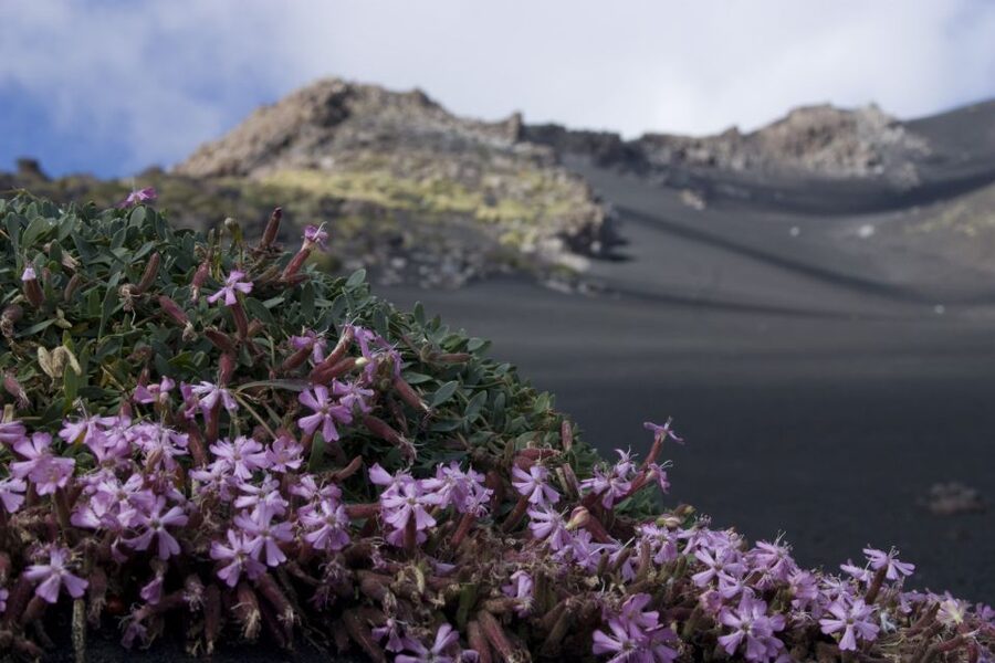 Catania: Etna Morning or Sunset Trek with Lava Tunnel & Gear - Secondary craters, lava sand, and the “wow” stops