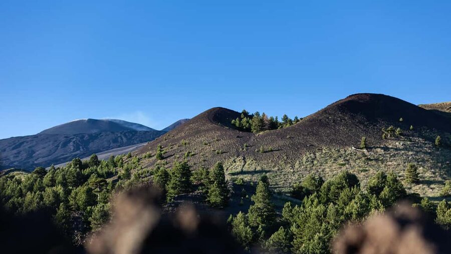 Catania: Etna Nature Tour with Hiking, Cave Visit, & Tasting - Sapienza Refuge at 1,986 meters: the view, the altitude, the reality check