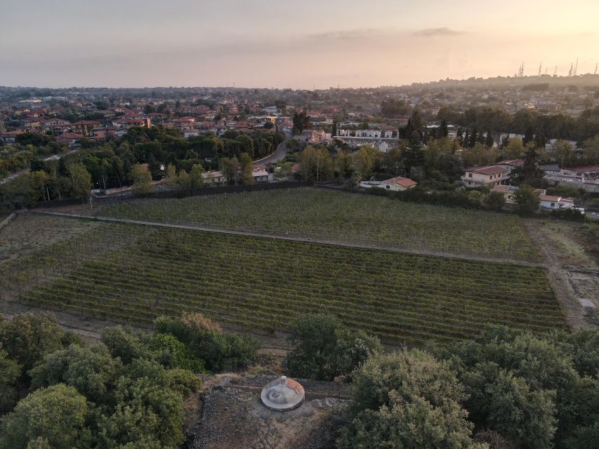 Catania: Etna Urban Winery Sicilian Lunch with Wine Tasting - Should you book this Catania lunch with wine tasting?