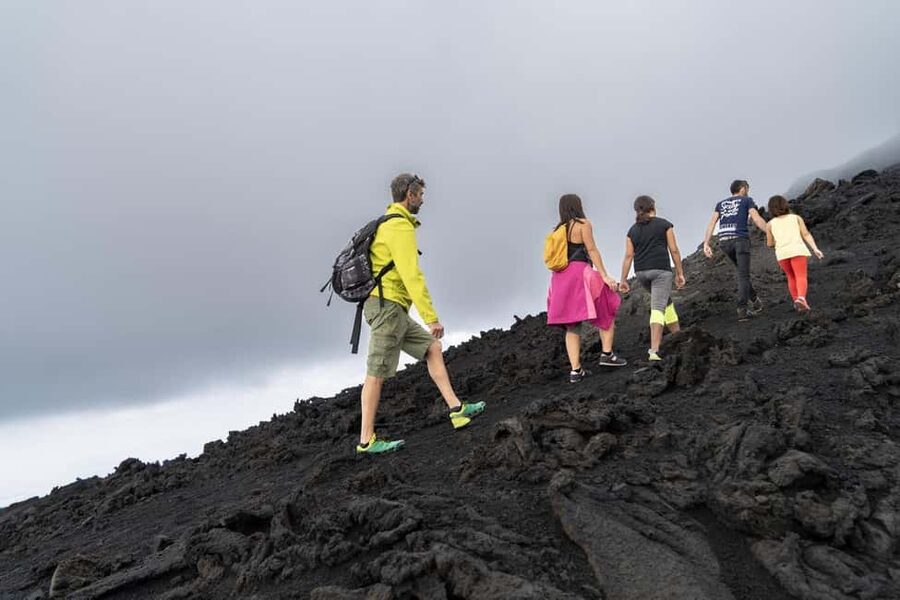 Catania: Guided Tour of Etna with Farm Visit & Food Tasting - Ancient craters and named features: learning what you see