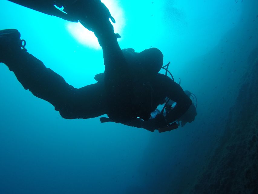 Catania: Gulf Scuba Diving Tour with Marine Biologist - Safety and gear: what you should look for on day one