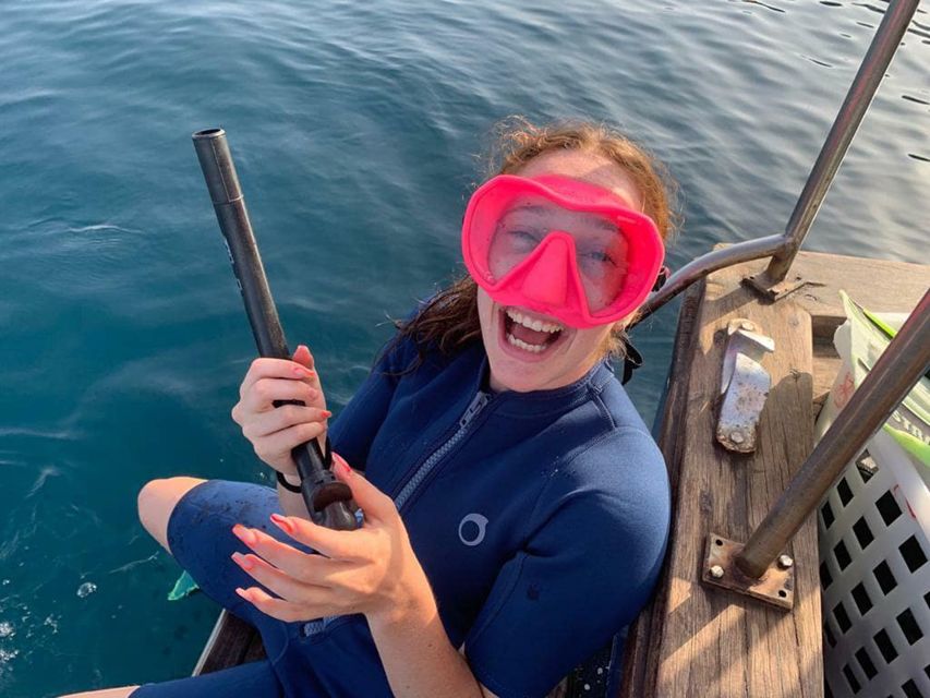 Catania, Isole Ciclopi: Snorkeling Trip - Key highlights to know before you go