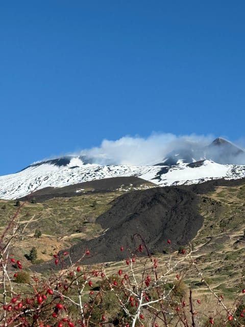 Catania: Morning Jeep Tour of Mount Etna and Lava Flow Caves - Pace, Walking, and What to Wear for an Etna Morning
