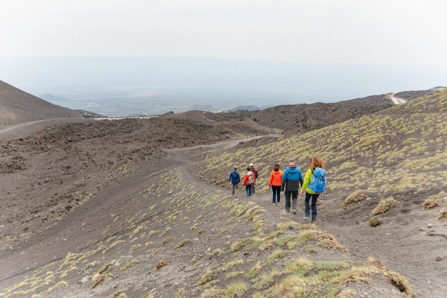 Catania: Mount Etna Morning or Sunset Day Trip with Tasting - Price and value for a 6-hour guided Etna day
