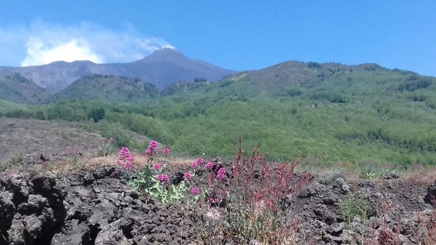 Catania: Mount Etna Sunset Tour and Etna Doc Wine - Key highlights you’ll feel on this tour