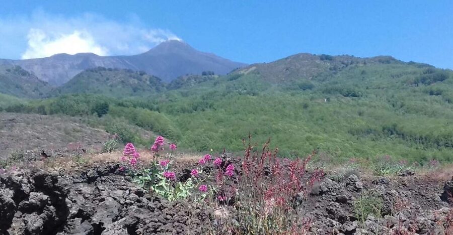 Catania: Mount Etna Sunset Tour and Etna Doc Wine - Transportation, timing, and what to pack for a 5-hour Etna evening
