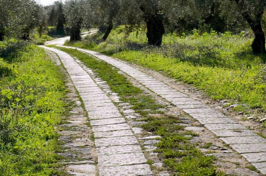 Catania: Pozzo di Gaspare Farm Guided Tour with Tastings - Key Highlights to Know Before You Go