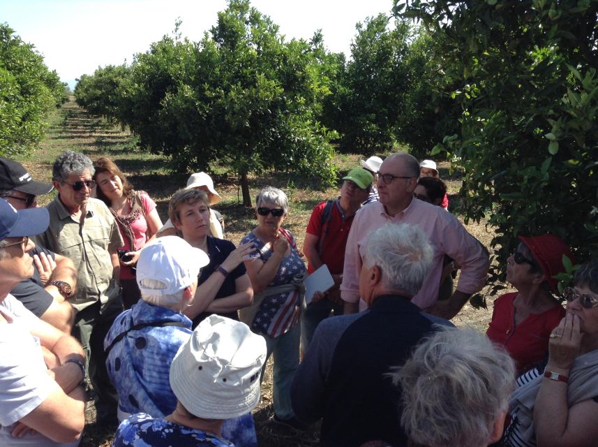 Catania: Pozzo di Gaspare Farm Guided Tour with Tastings - Who This Tour Suits Best, and Who Might Want Something Else
