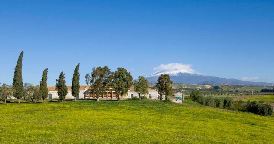 Catania: Pozzo di Gaspare Farm Guided Tour with Tastings - The EVO Oil Tasting and What You Should Actually Expect