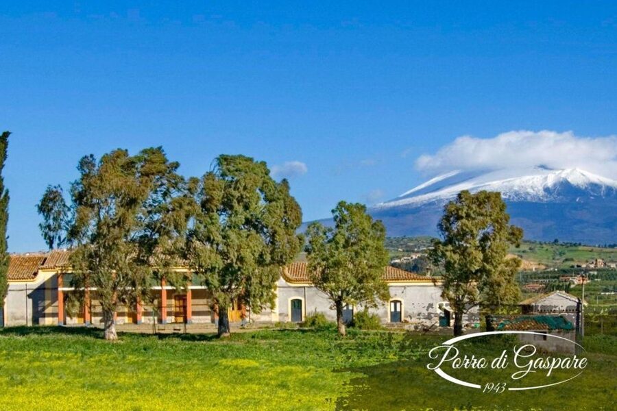 Catania: Pozzo di Gaspare Farm Guided Tour with Tastings - Timing Your Visit: When March to May Makes the Tour Easier to Love