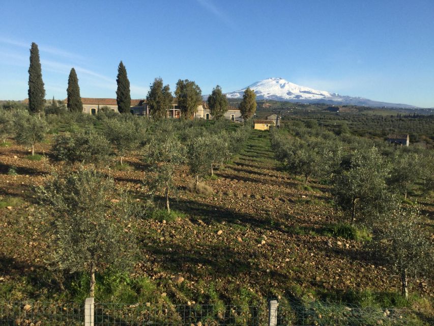 Catania: Pozzo di Gaspare Farm Guided Tour with Tastings - Price and Value: Is $41 for 2 Hours Fair?