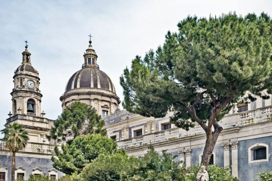 Catania: Private custom tour with a local guide - Pickup and timing, how the 2-8 hour window works in real life