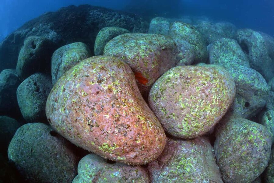 Catania: Scuba Diving Experience - Price and value: $94 for a safe, gear-included shallow session