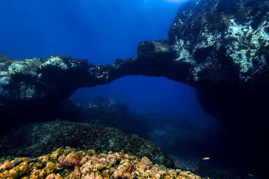 Catania: Scuba Diving Experience - Gear and briefing: the part that makes or breaks your comfort