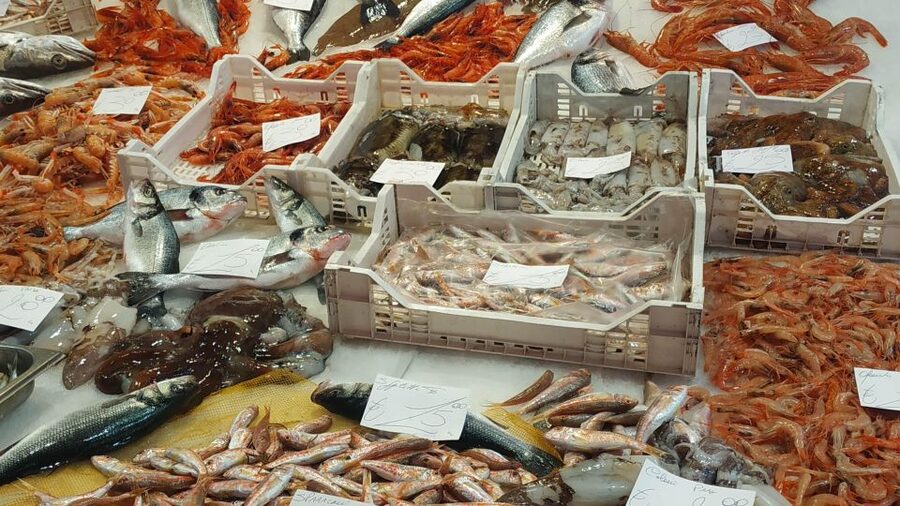 Catania Street Food Tour: Fish Market & City Centre - Pescheria Market Talk You Can Use Later (Even After the Tour)