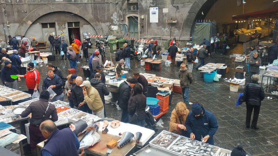 Catania Street Food Tour: Fish Market & City Centre - Guide Quality and Small-Group Pace: Why You Feel Included