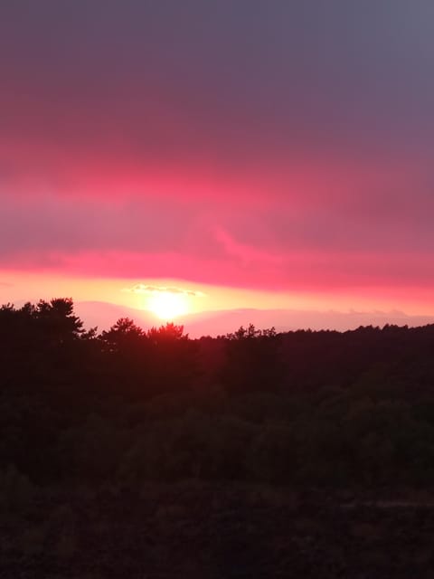 Catania: Sunset Trekking on Mount Etna with Wine Tasting - Should you book this Catania-to-Etna sunset trekking experience?