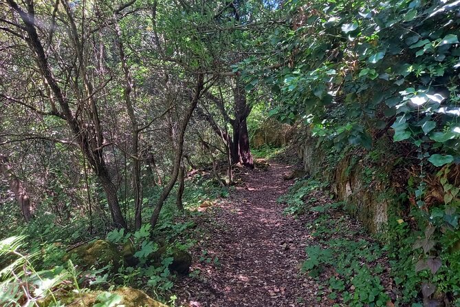 Cavagrande hiking tour - Meet in Syracuse, then let someone else handle the driving