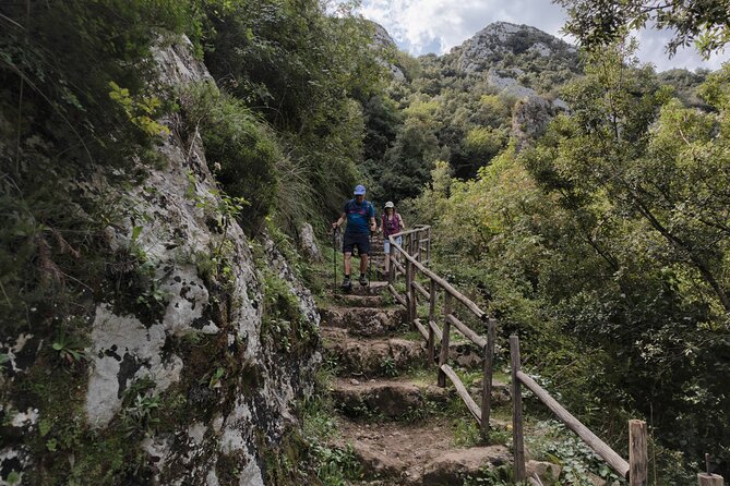 Cavagrande hiking tour - The guide experience: learning what to look for
