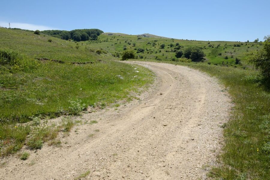Cesarò: Full Day Tour of Nebrodi Park in a 4x4 - Key Things to Know Before You Go