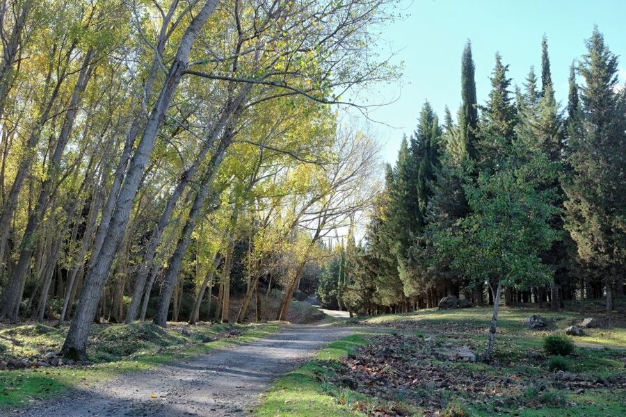 Cesarò: Full Day Tour of Nebrodi Park in a 4x4 - Why Nebrodi Park by 4x4 Feels Different