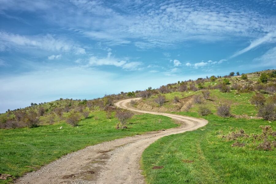 Cesarò: Full Day Tour of Nebrodi Park in a 4x4 - The Climb Toward Mount Soro: Forest Roads and Big Views