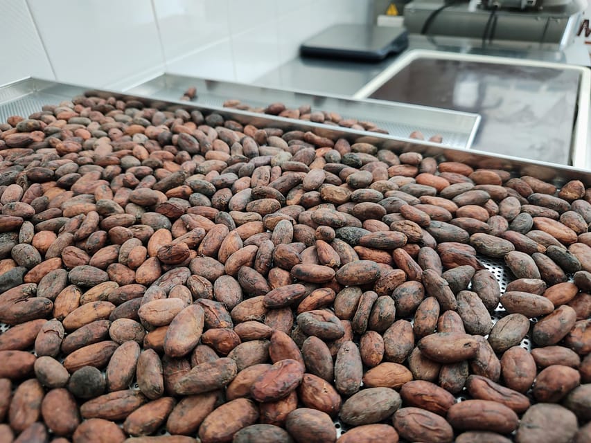 Chocolatier for a day: raw bean to bar chocolate in Modica - Choosing and Roasting Cacao Beans Like a Pro