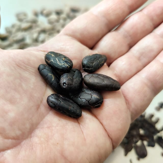 Chocolatier for a day: raw bean to bar chocolate in Modica - Stone Grinding and Refining, The Part You Can Actually Feel