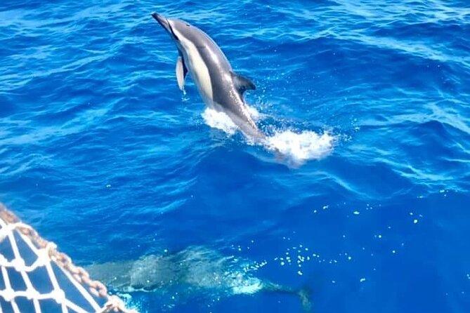 Classic Boat Tour in Palermo - Mondello bay is the payoff: aperitivo, swim time, and simple snacks