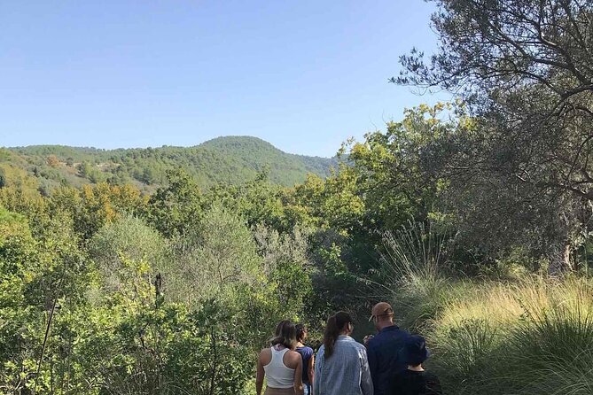 Cooking class in the countryside with Simona - The garden walk in Chiaramonte Gulfi, where the cooking starts