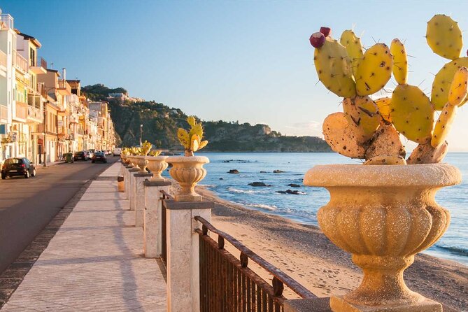 Cooking Class with Seaview with Chef Mimmo - Six types of handmade fresh pasta: the real skill you take home