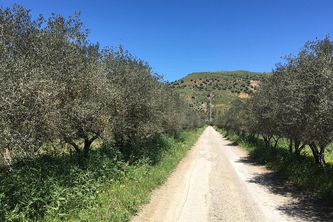 Daily Biking in the Rural Sicily - Price and value: what $178.02 buys you in Sicily