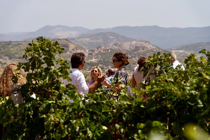 Di Giovanna Winery Tour & 3 Wine Tasting - Why Di Giovanna Feels Different Than a Typical Wine Stop