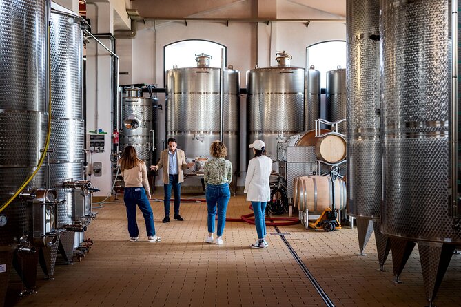 Di Giovanna Winery Tour & 3 Wine Tasting - How to Get the Most Out of the Tasting (Without Overthinking It)