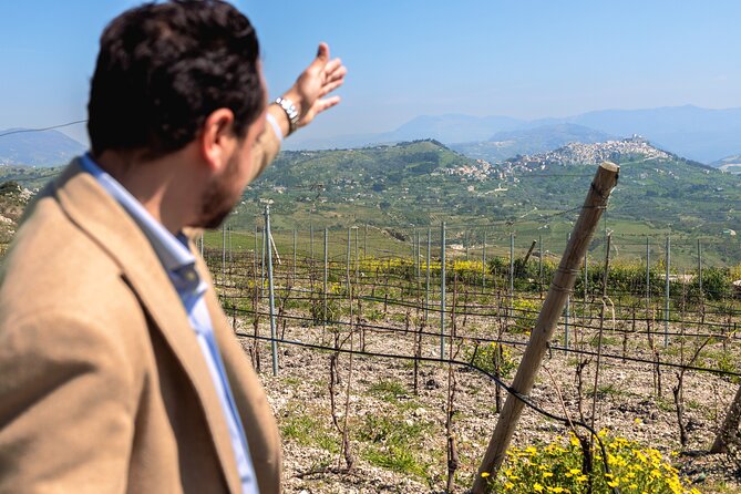 Di Giovanna Winery Tour & 5 Wine Tasting - Key Highlights You Should Care About