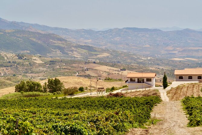 Di Giovanna Winery Tour & 5 Wine Tasting - A Two-Hour Wine and Food Stop in Sambuca di Sicilia