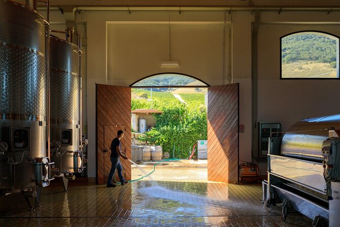 Di Giovanna Winery Tour & 5 Wine Tasting - Where This Tour Fits Best in Your Sicily Plan