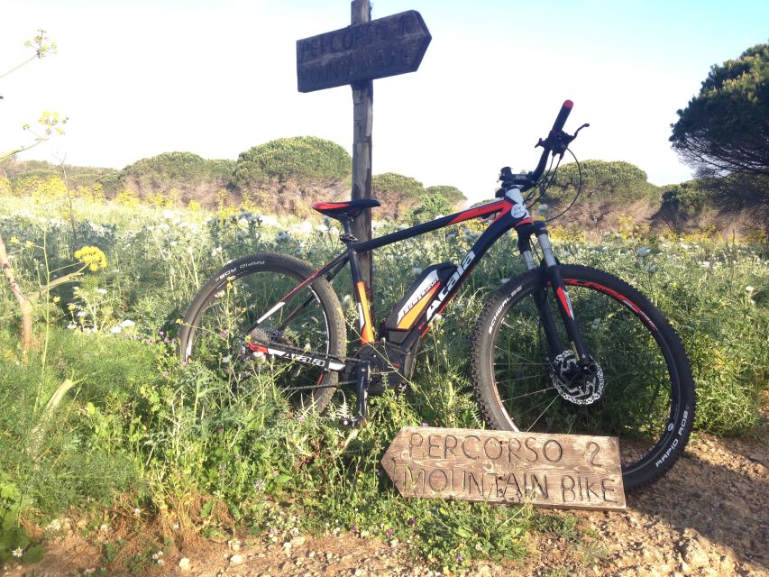 Discover MtPellegrino with a PRIVATE Guided Bike Tour - Lake of Piana and the WWF-protected feeling of the ride