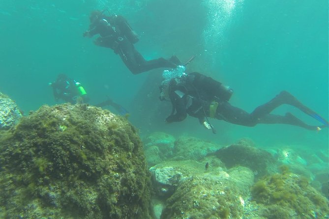 Discover scuba diving - Price and value: what you’re actually paying for