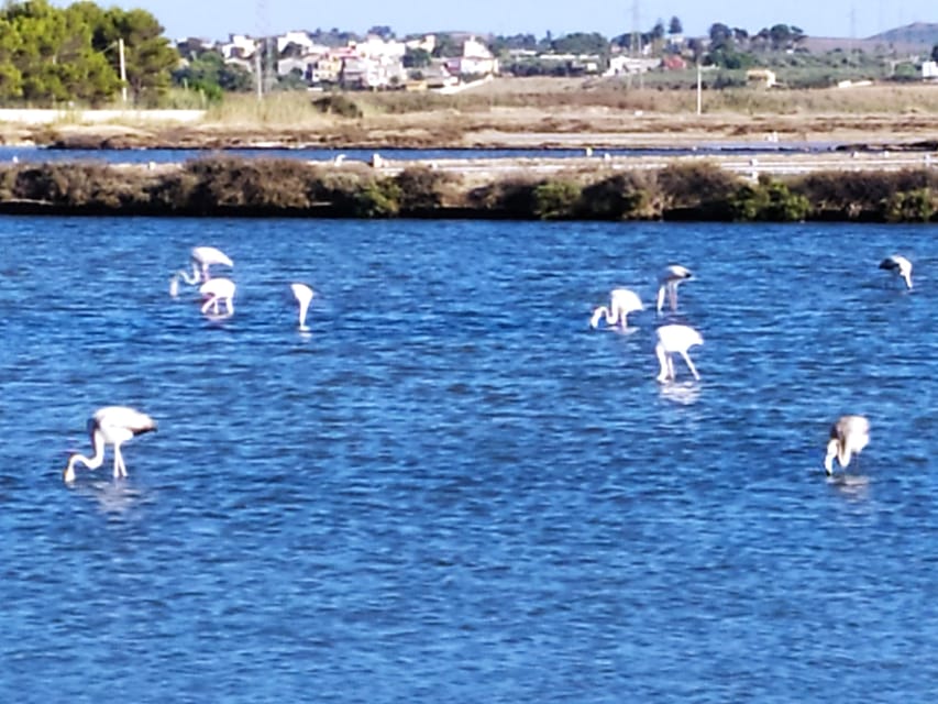 Discover Trapani's Saltpans with an E-Bike Tour - Entering Trapani’s Salt Country From Via Osorio