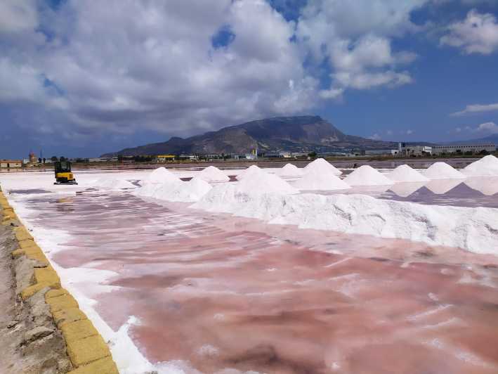 Discover Trapani's Saltpans with an E-Bike Tour - The Ride Through Saline Reserve: Birds, Water, and Protected Habitats