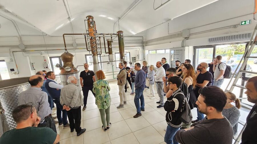 Distilleria Alma- Rum Distilery Guided Tour & Tasting - Inside Distilleria Alma: pressing, fermentation, distillation, aging