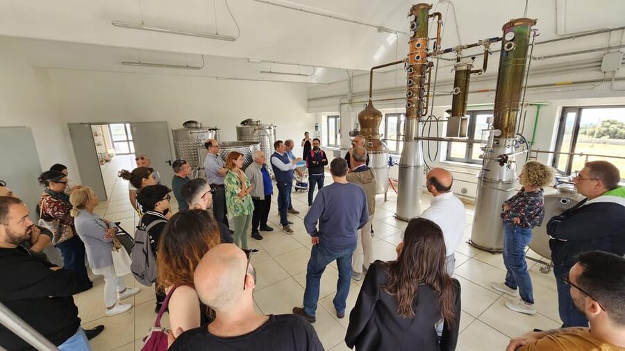 Distilleria Alma- Rum Distilery Guided Tour & Tasting - Getting ready for a 90-minute guided experience