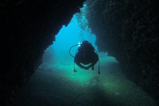 Diving for patented divers - The One-Hour Surface Interval: Snacks, Coffee, and a Real Reset