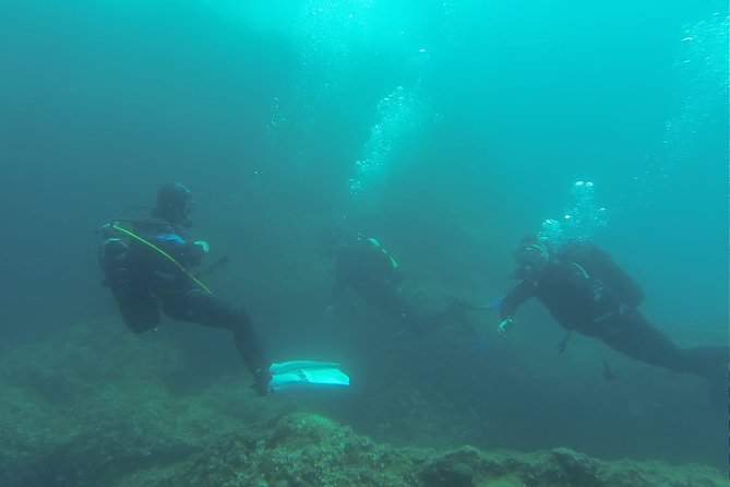 Diving for patented divers - Price and Value: What $157.28 Buys You in Real Terms